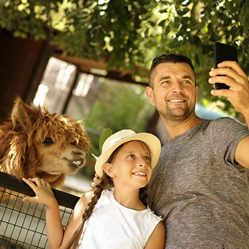 Visite de parcs animaliers