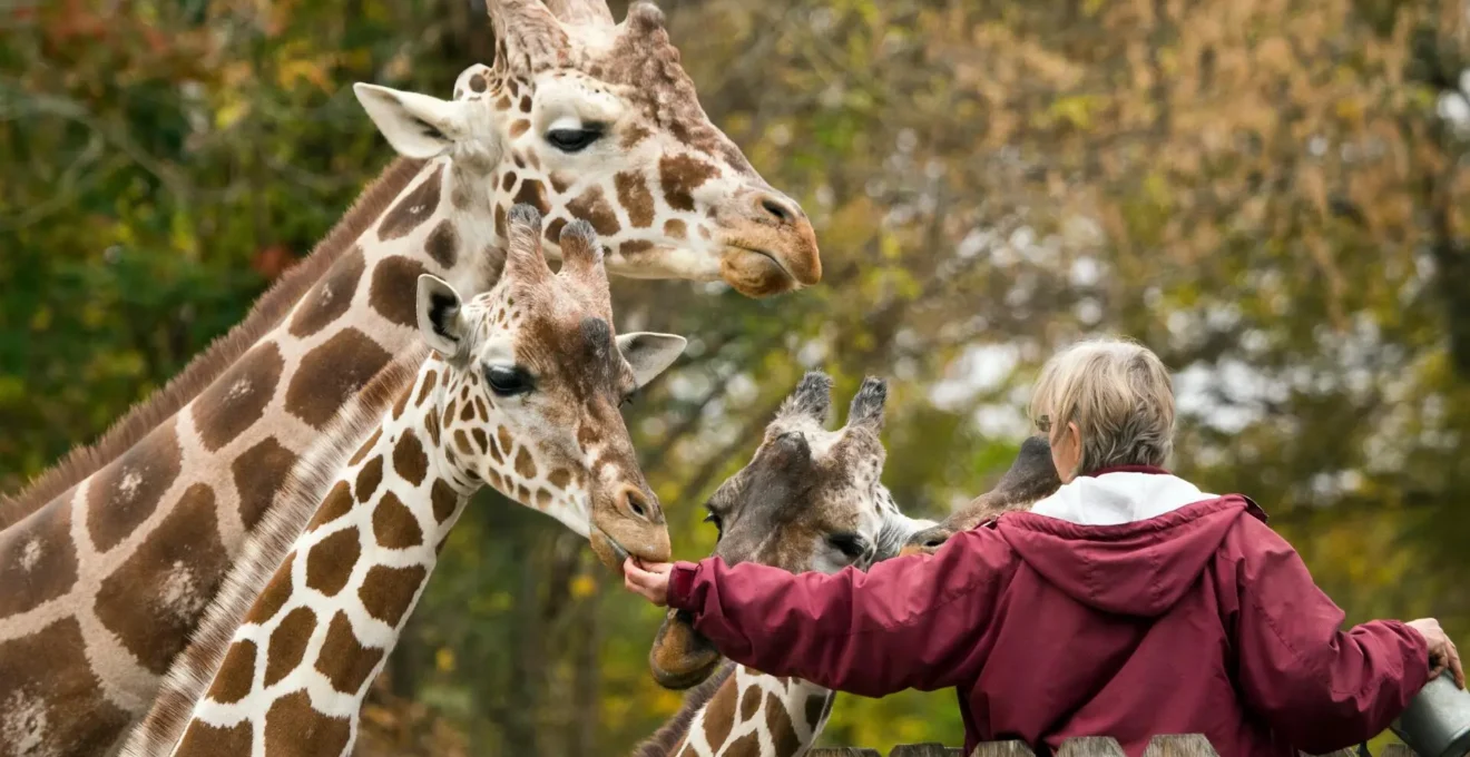 zoo en Ardèche.png